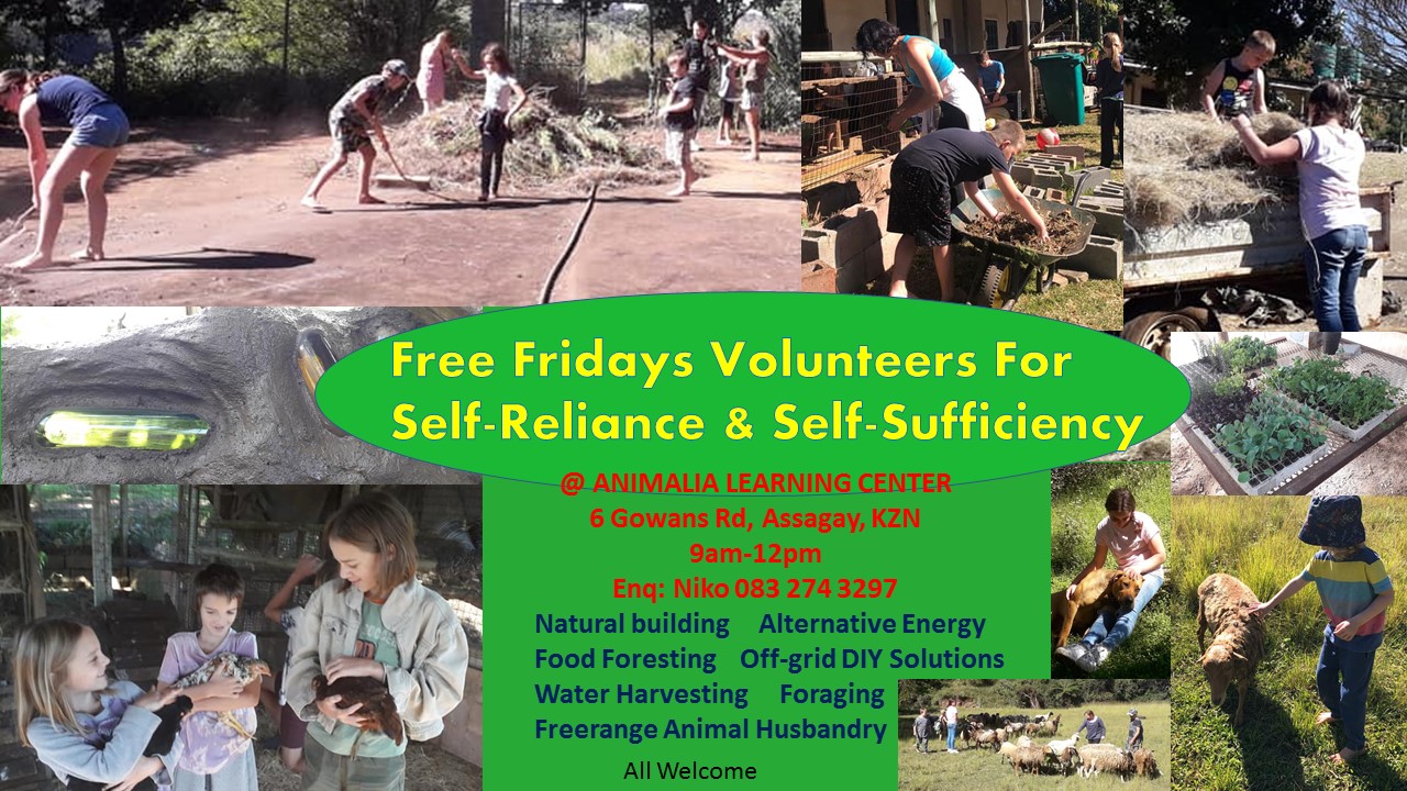 Natural Classroom Build Free Volunteers Fridays Advert 6 Gowans